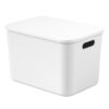 Sundries Storage Box – Plastic Desktop & Kitchen Organizer